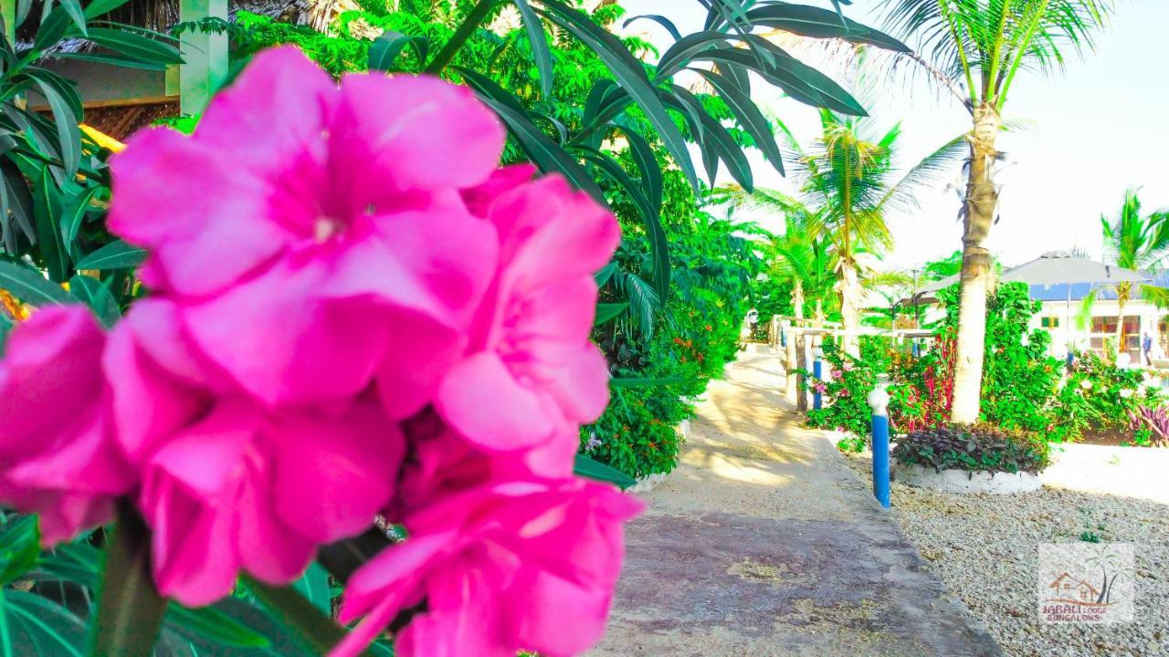 Jabali Bungalows Lodge Paje Zewnętrze zdjęcie